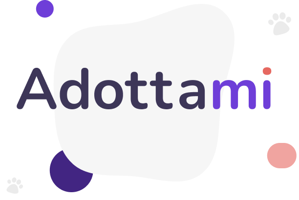 Entenda como o Adottami funciona